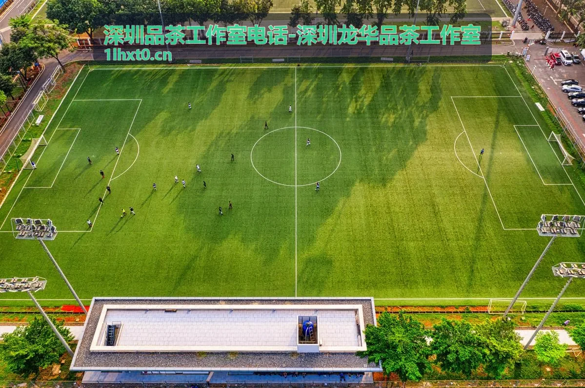 深圳龙华品茶工作室室内环境与大茶台