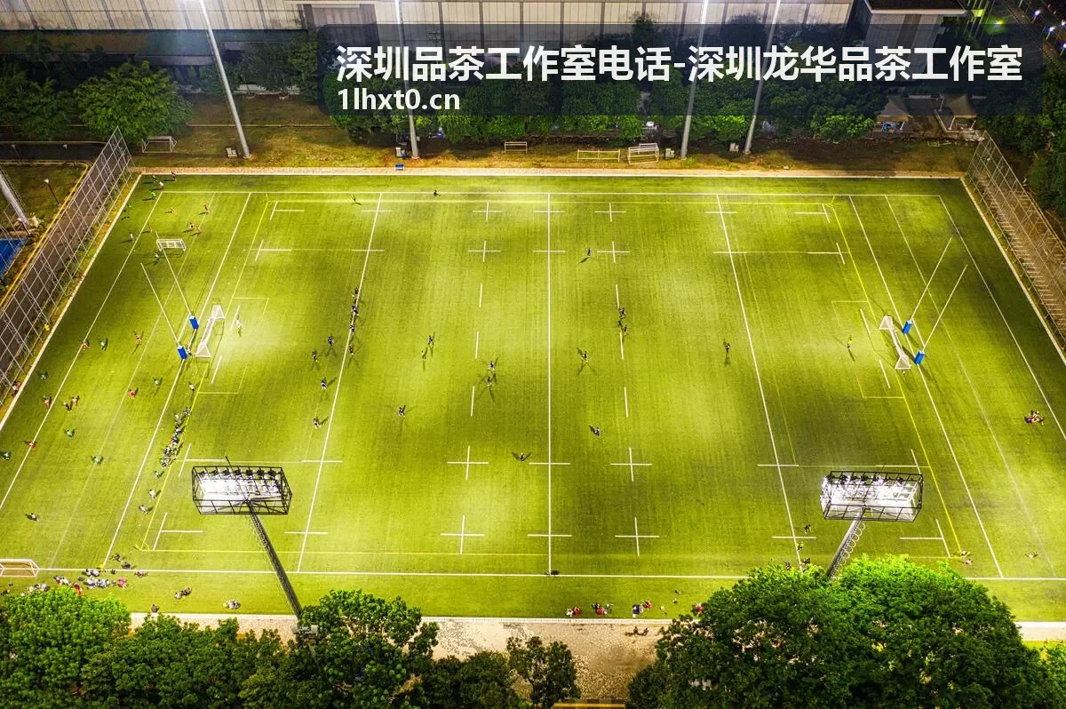 私人品鉴套餐茶席 龙华品茶工作室